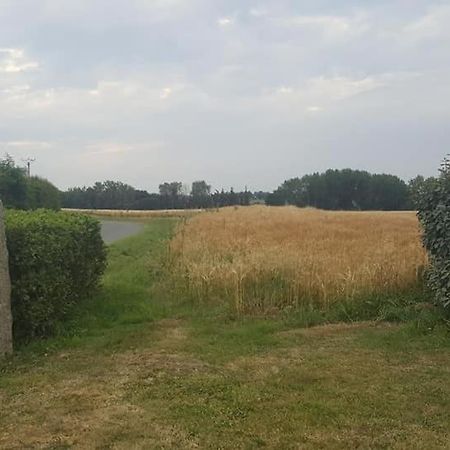 Gite 3 Places Au Coeur Du Tregor Langoat Bagian luar foto